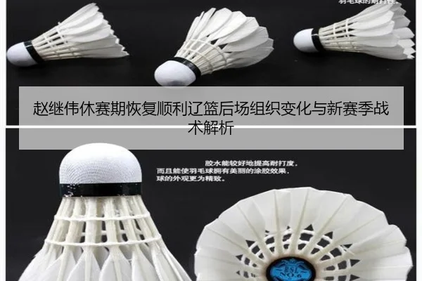 赵继伟休赛期恢复顺利辽篮后场组织变化与新赛季战术解析